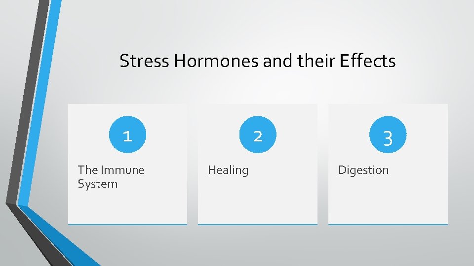 Stress Hormones and their Effects 1 The Immune System 2 Healing 3 Digestion 