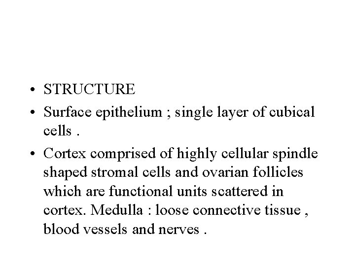  • STRUCTURE • Surface epithelium ; single layer of cubical cells. • Cortex