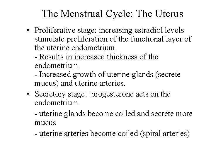 The Menstrual Cycle: The Uterus • Proliferative stage: increasing estradiol levels stimulate proliferation of