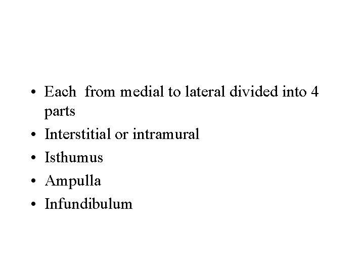 • Each from medial to lateral divided into 4 parts • Interstitial or