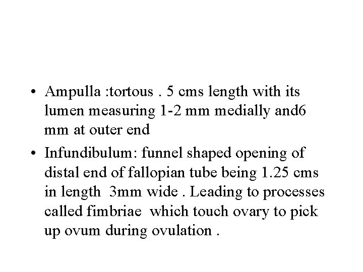  • Ampulla : tortous. 5 cms length with its lumen measuring 1 -2