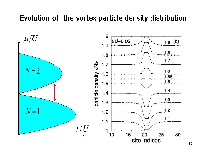 Evolution of the vortex particle density distribution 12 