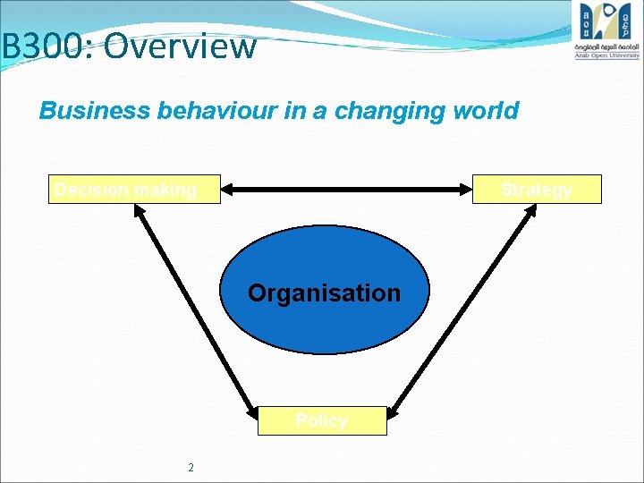 B 300: Overview Business behaviour in a changing world Decision making Strategy Organisation Policy