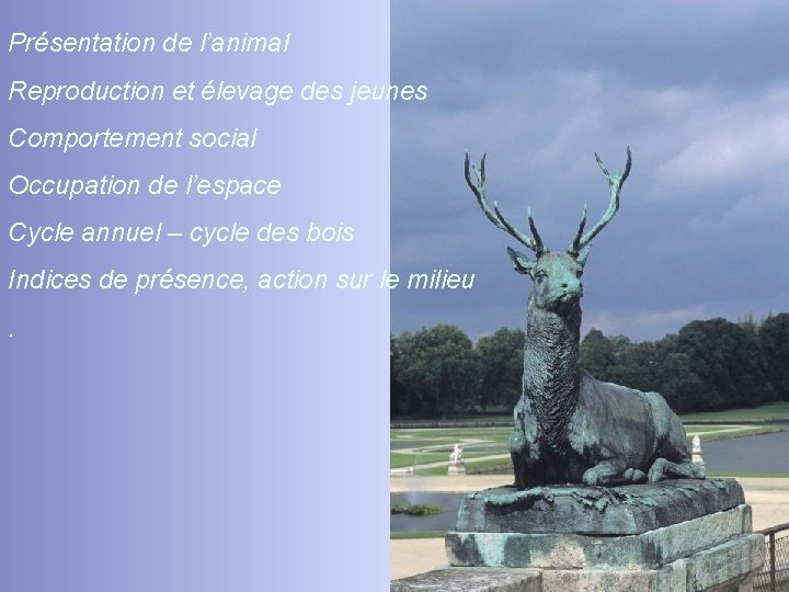 Présentation de l’animal Reproduction et élevage des jeunes Comportement social Occupation de l’espace Cycle