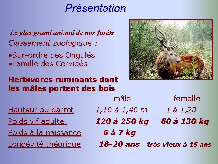 Présentation Le plus grand animal de nos forêts Classement zoologique : • Sur-ordre des