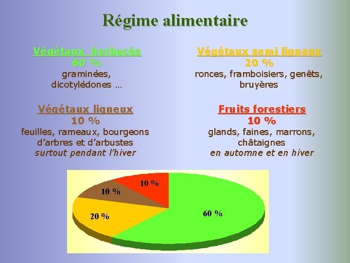 Régime alimentaire Végétaux herbacés 60 % graminées, dicotylédones … Végétaux ligneux 10 % feuilles,
