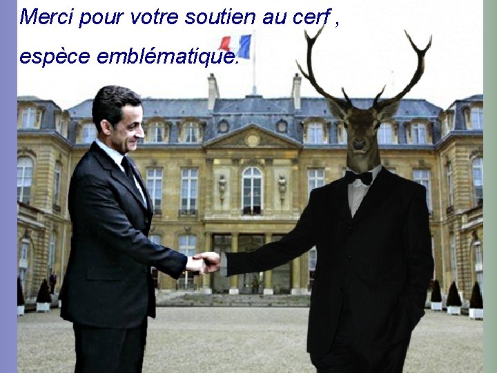 Merci pour votre soutien au cerf , espèce emblématique. 