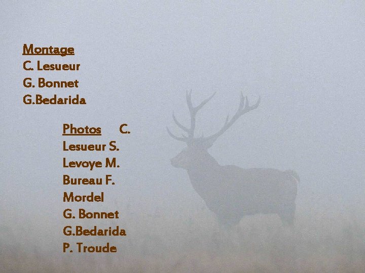 Montage C. Lesueur G. Bonnet G. Bedarida Photos C. Lesueur S. Levoye M. Bureau