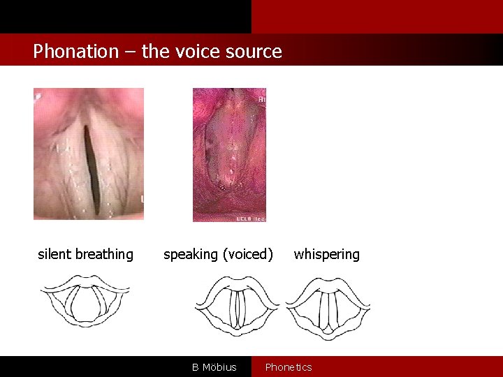 Phonation – the voice source silent breathing speaking (voiced) B Möbius whispering Phonetics 