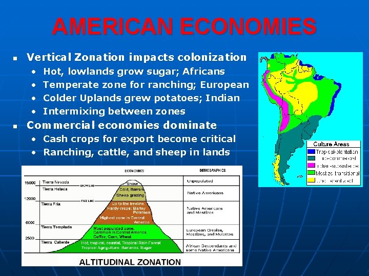 AMERICAN ECONOMIES n Vertical Zonation impacts colonization • • n Hot, lowlands grow sugar;