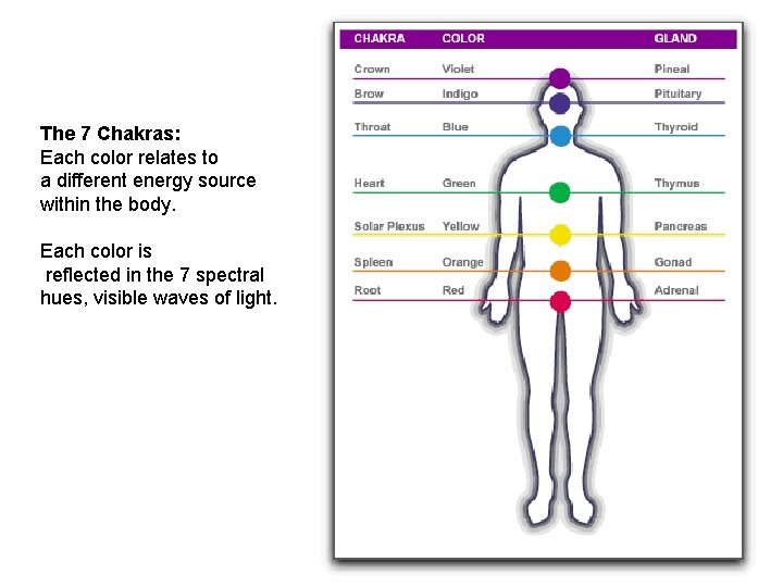The 7 Chakras: Each color relates to a different energy source within the body.