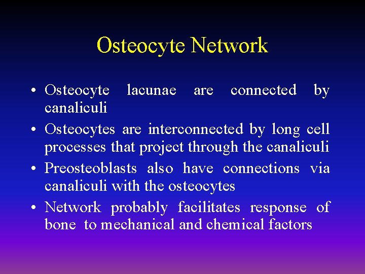 Osteocyte Network • Osteocyte lacunae are connected by canaliculi • Osteocytes are interconnected by
