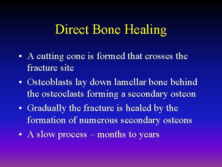 Direct Bone Healing • A cutting cone is formed that crosses the fracture site