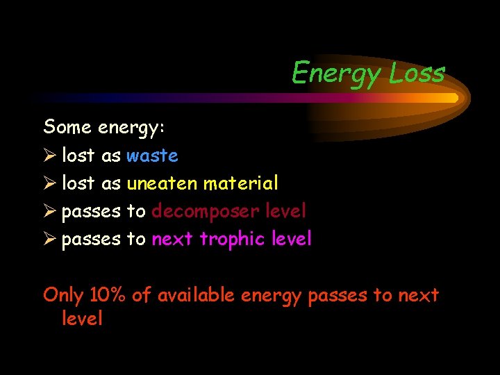 Energy Loss Some energy: Ø lost as waste Ø lost as uneaten material Ø