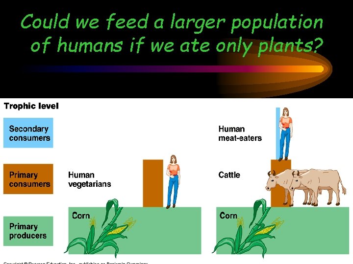 Could we feed a larger population of humans if we ate only plants? 