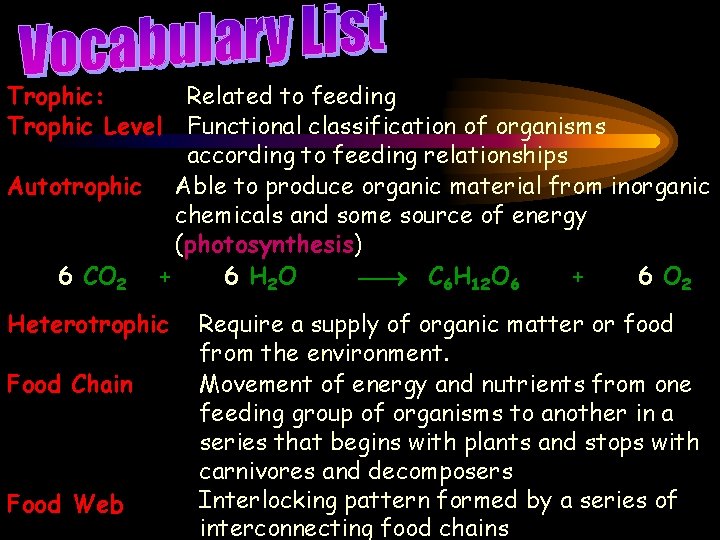 Trophic: Trophic Level Related to feeding Functional classification of organisms according to feeding relationships