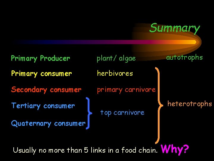 Summary Primary Producer plant/ algae Primary consumer herbivores Secondary consumer primary carnivore Tertiary consumer