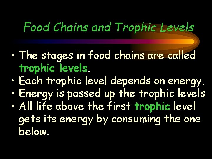 Food Chains and Trophic Levels • The stages in food chains are called trophic