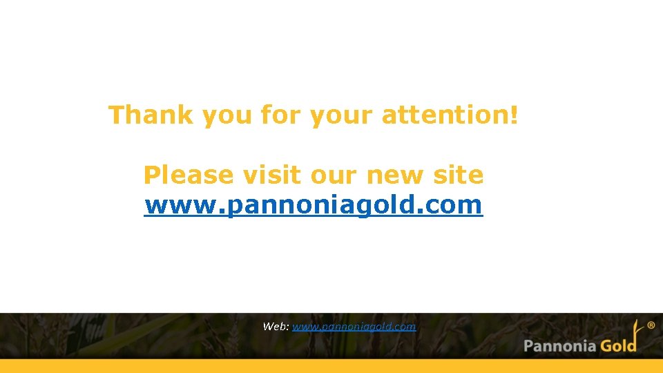 Thank you for your attention! Please visit our new site www. pannoniagold. com Web: