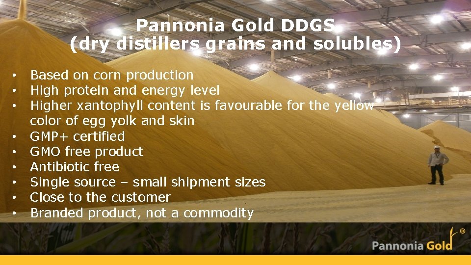 Pannonia Gold DDGS (dry distillers grains and solubles) • • • Based on corn