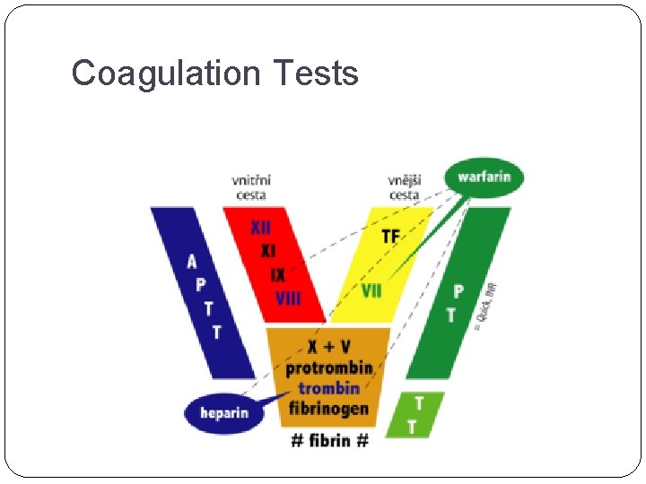 Coagulation Tests 