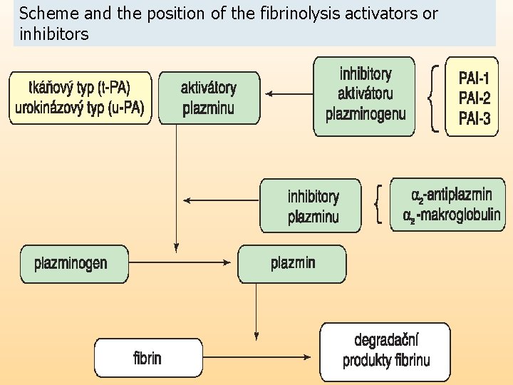 Scheme and the position of the fibrinolysis activators or inhibitors FIBRINOLYTICS = thrombolytics cause/accelerate