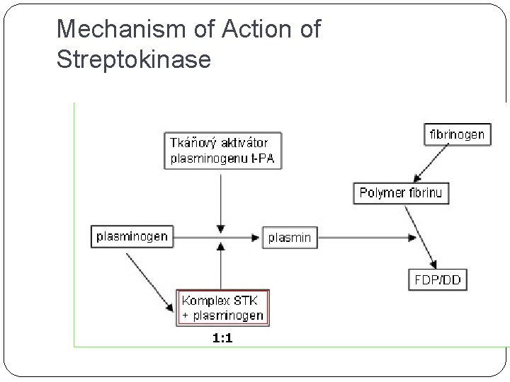 Mechanism of Action of Streptokinase 1: 1 