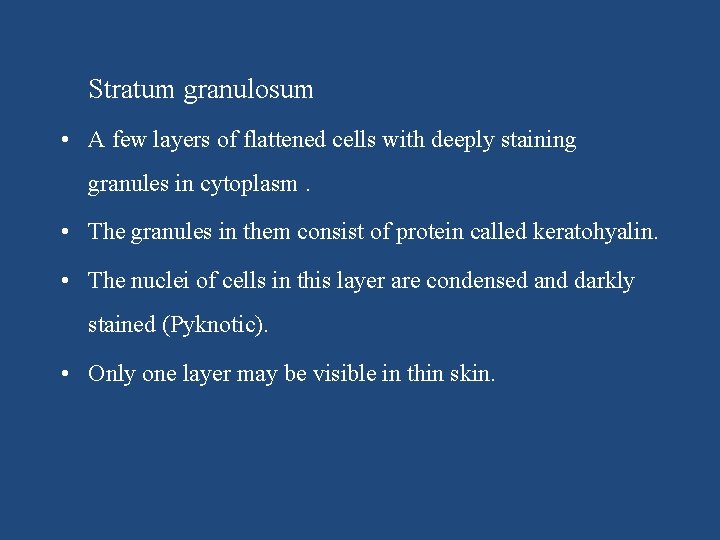 Stratum granulosum • A few layers of flattened cells with deeply staining granules in