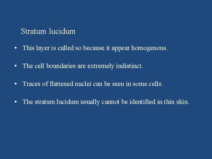 Stratum lucidum • This layer is called so because it appear homogenous. • The