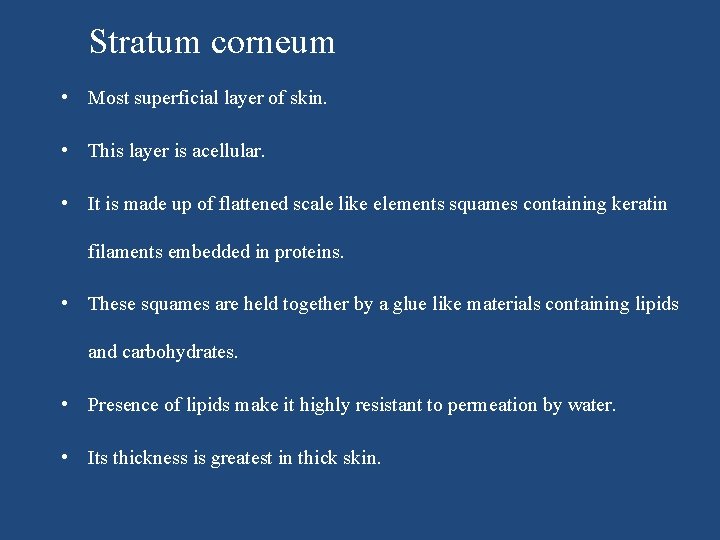 Stratum corneum • Most superficial layer of skin. • This layer is acellular. •