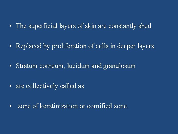  • The superficial layers of skin are constantly shed. • Replaced by proliferation