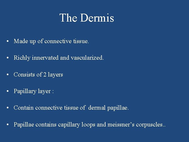 The Dermis • Made up of connective tissue. • Richly innervated and vascularized. •