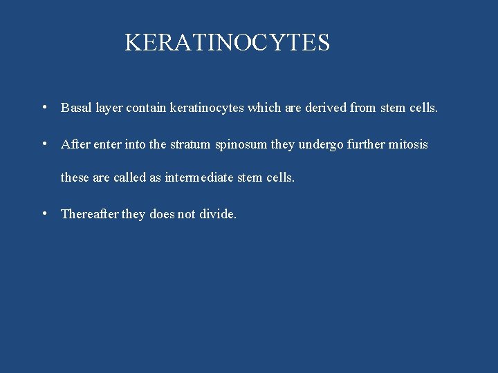 KERATINOCYTES • Basal layer contain keratinocytes which are derived from stem cells. • After