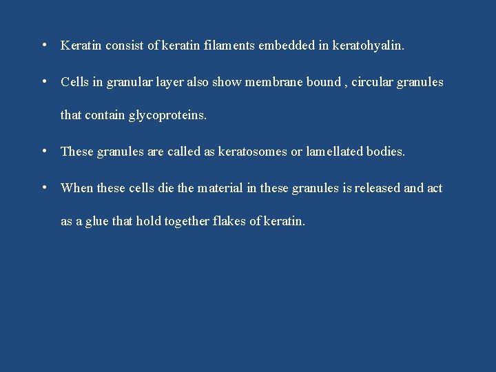  • Keratin consist of keratin filaments embedded in keratohyalin. • Cells in granular