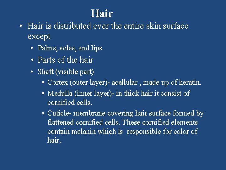 Hair • Hair is distributed over the entire skin surface except • Palms, soles,