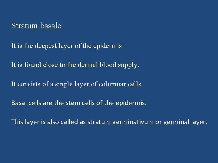 Stratum basale It is the deepest layer of the epidermis. It is found close