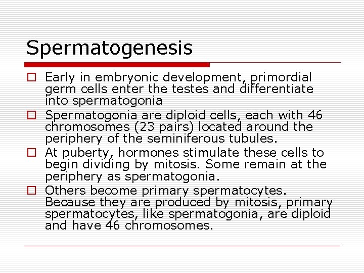 Spermatogenesis o Early in embryonic development, primordial germ cells enter the testes and differentiate