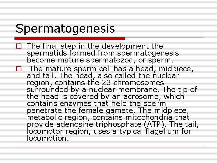 Spermatogenesis o The final step in the development the spermatids formed from spermatogenesis become