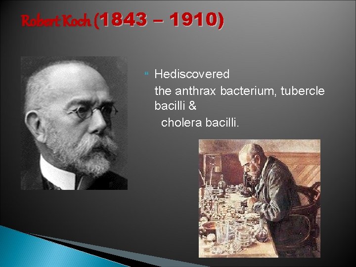 Robert Koch (1843 – 1910) Hediscovered the anthrax bacterium, tubercle bacilli & cholera bacilli.