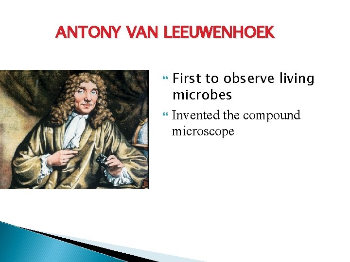 ANTONY VAN LEEUWENHOEK First to observe living microbes Invented the compound microscope 