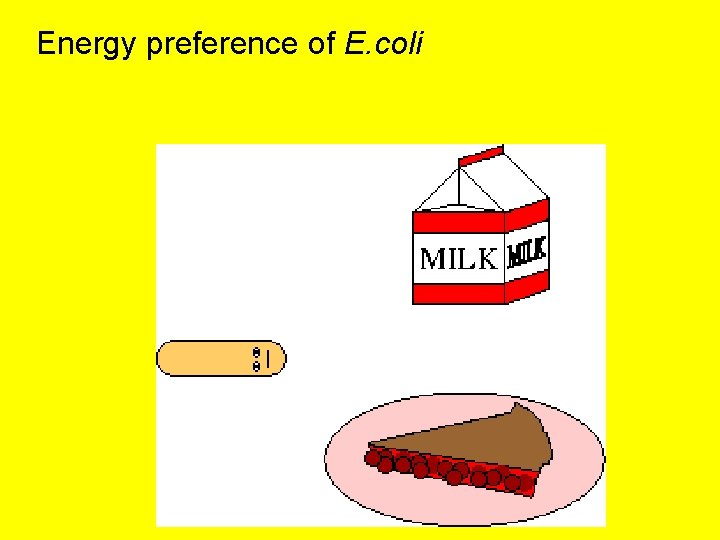 Energy preference of E. coli 