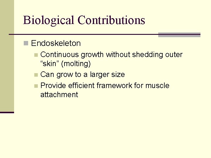 Biological Contributions n Endoskeleton n Continuous growth without shedding outer “skin” (molting) n Can