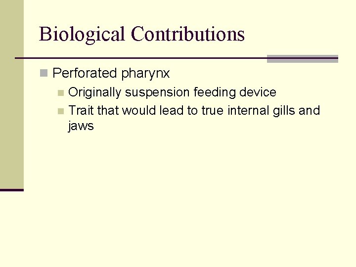 Biological Contributions n Perforated pharynx n Originally suspension feeding device n Trait that would