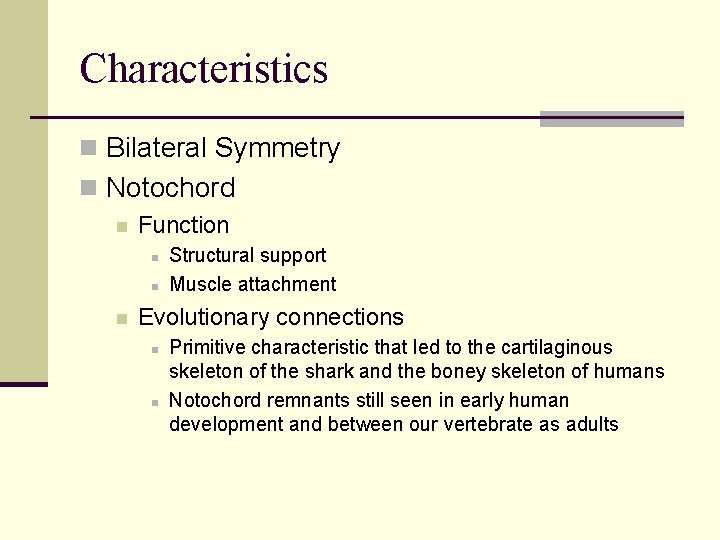 Characteristics n Bilateral Symmetry n Notochord n Function n Structural support Muscle attachment Evolutionary