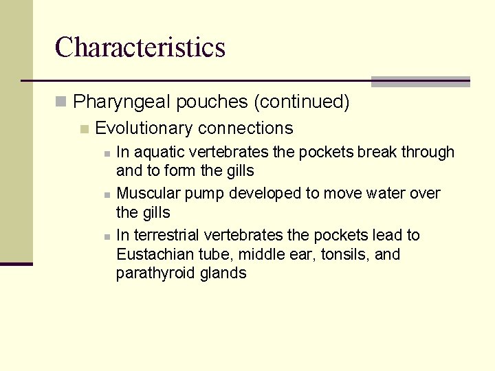 Characteristics n Pharyngeal pouches (continued) n Evolutionary connections n n n In aquatic vertebrates