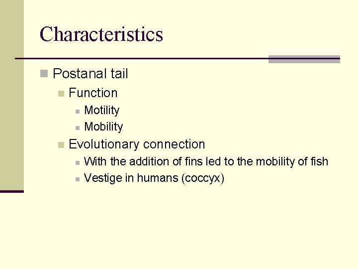 Characteristics n Postanal tail n Function n Motility Mobility Evolutionary connection n n With