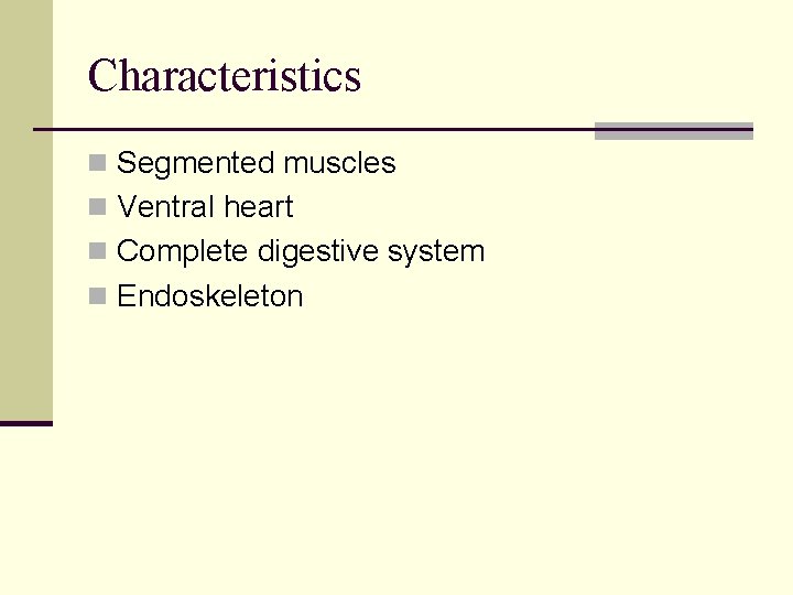 Characteristics n Segmented muscles n Ventral heart n Complete digestive system n Endoskeleton 