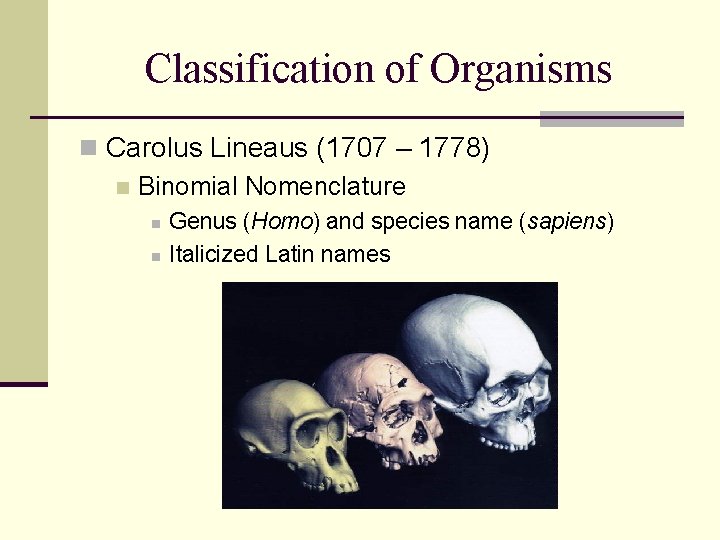 Classification of Organisms n Carolus Lineaus (1707 – 1778) n Binomial Nomenclature n n