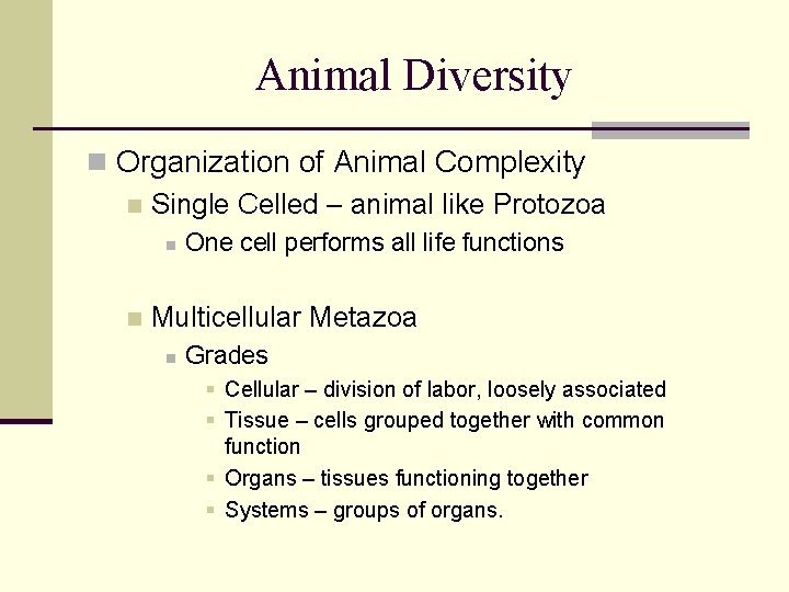 Animal Diversity n Organization of Animal Complexity n Single Celled – animal like Protozoa