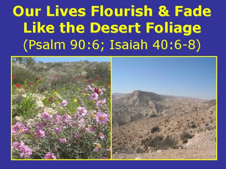 Our Lives Flourish & Fade Like the Desert Foliage (Psalm 90: 6; Isaiah 40: